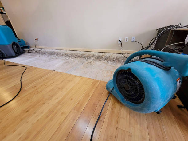 Professional Sewage Cleanup technician working in Globe, AZ